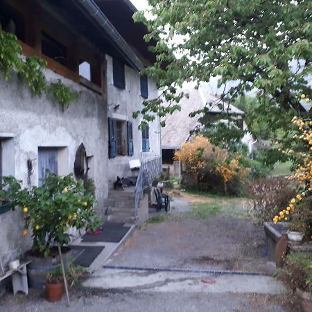 Domaine De La Safraniere - Chambre D'Hote Saint-Léger 외부 사진