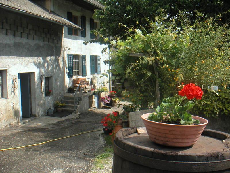 Domaine De La Safraniere - Chambre D'Hote Saint-Léger 외부 사진