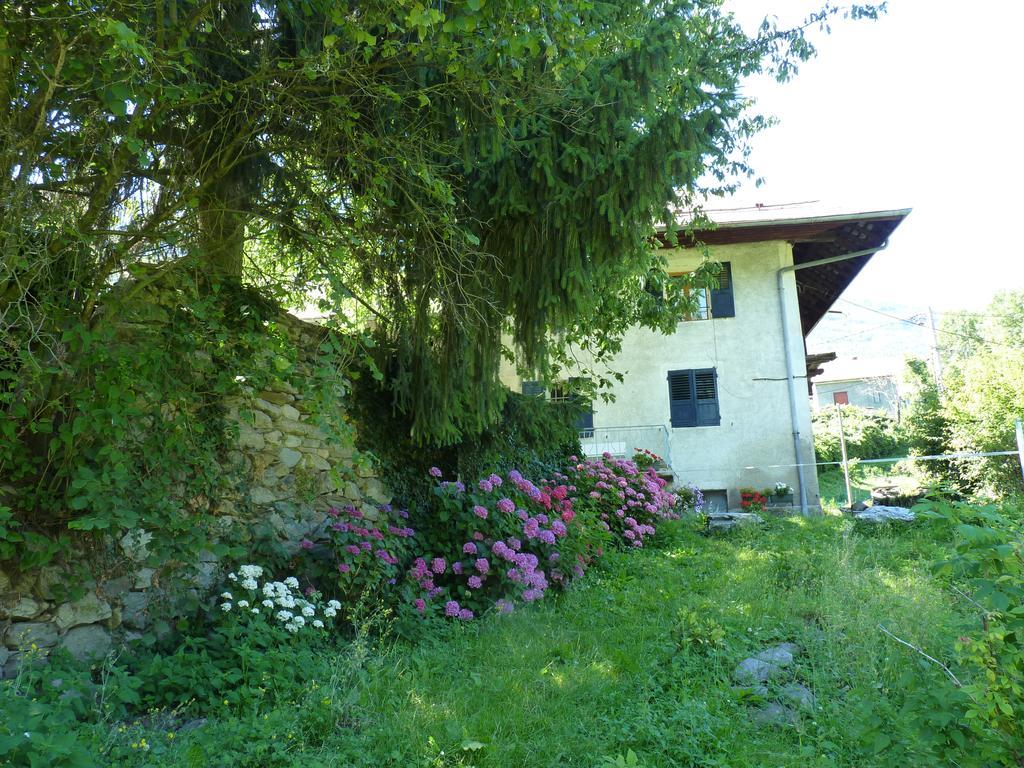 Domaine De La Safraniere - Chambre D'Hote Saint-Léger 외부 사진