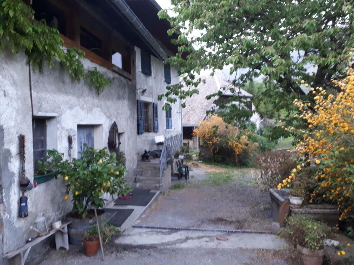 Domaine De La Safraniere - Chambre D'Hote Saint-Léger 외부 사진